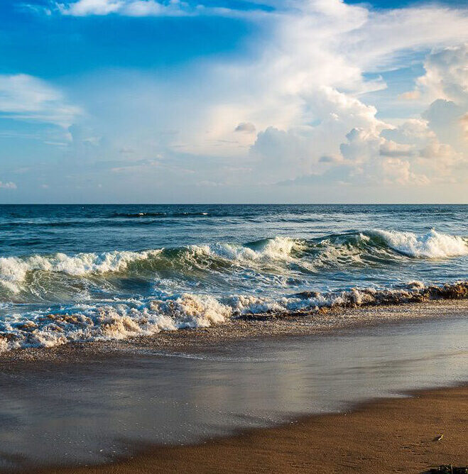 Quality Room Service